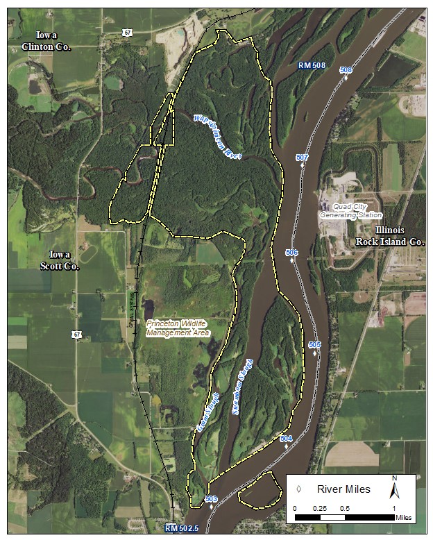 Steamboat Island Habitat Rehabilitation and Enhancement Project area map (click for larger view)