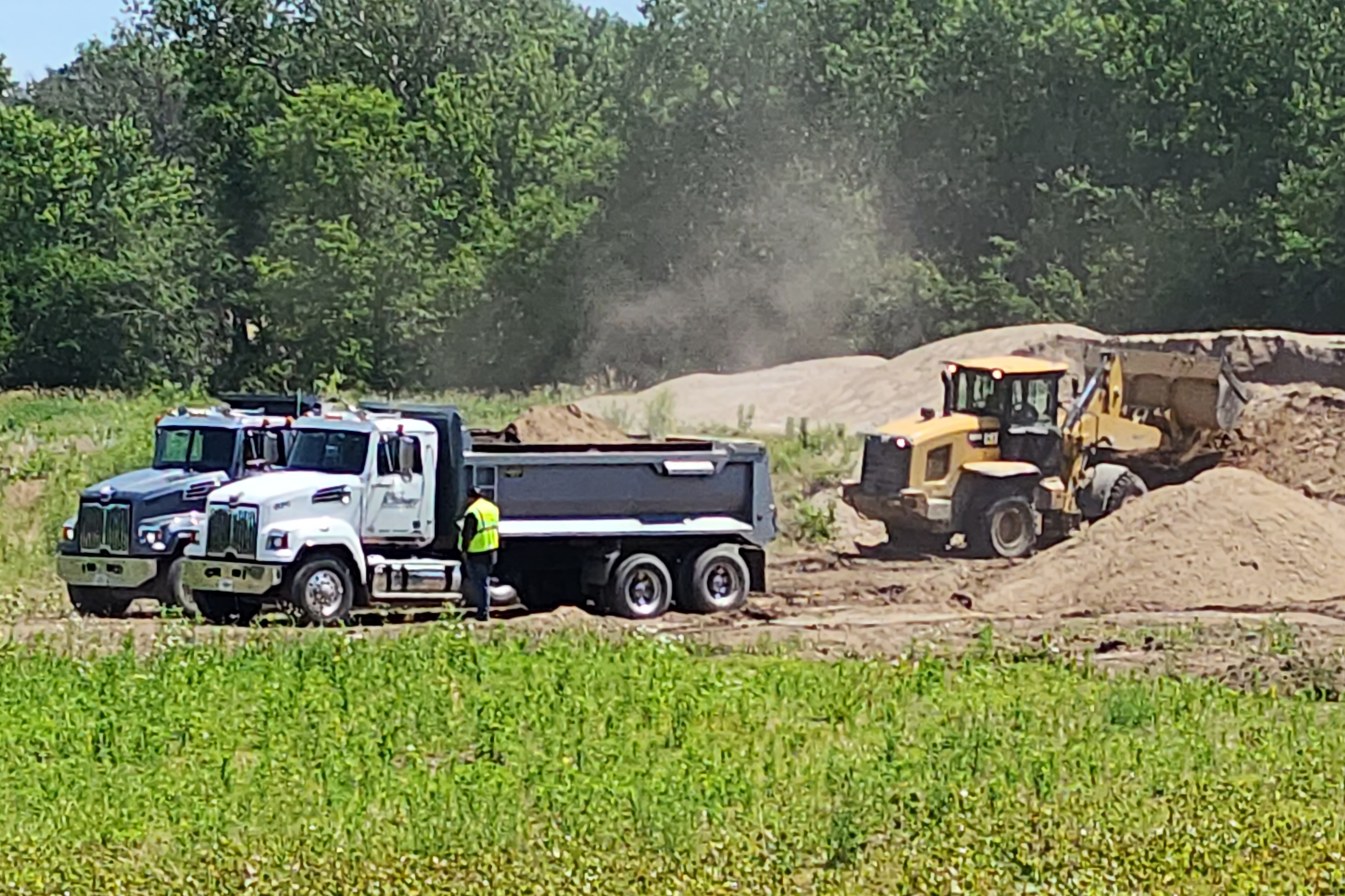 Dredged material being loaded into dump trucks.
